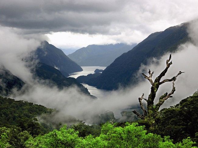 Новая Зеландия славится своей чарующей природой