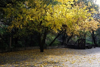 Осень в Какопетрии