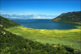 Скадарское озеро. Природа