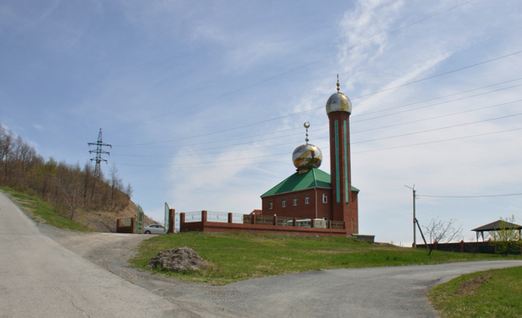 Мечеть у сопки Лебединой