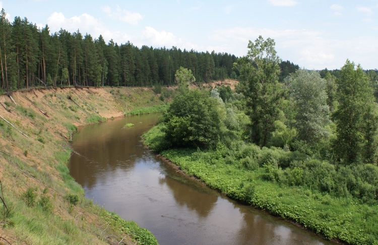 Бузулукский бор