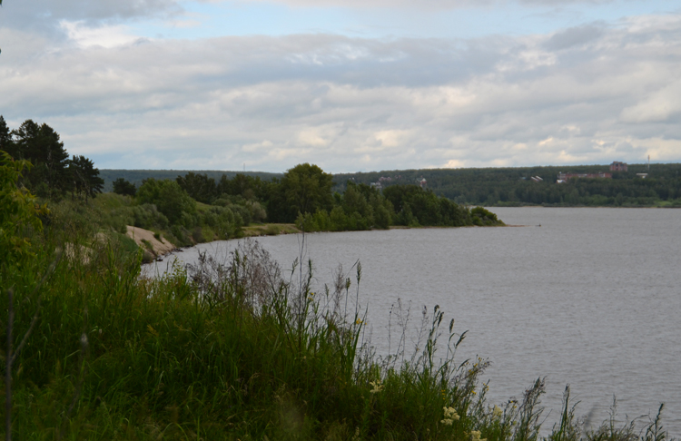 Городской парк Бердская коса