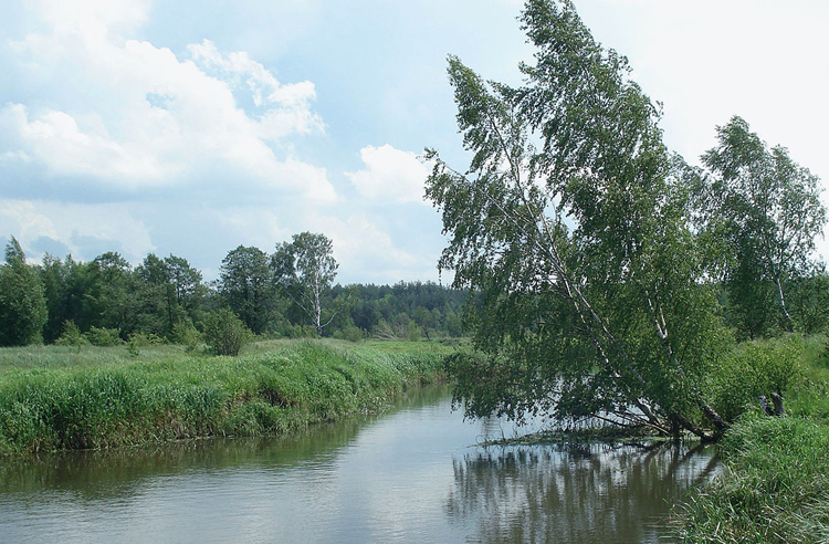 Река Гуслица