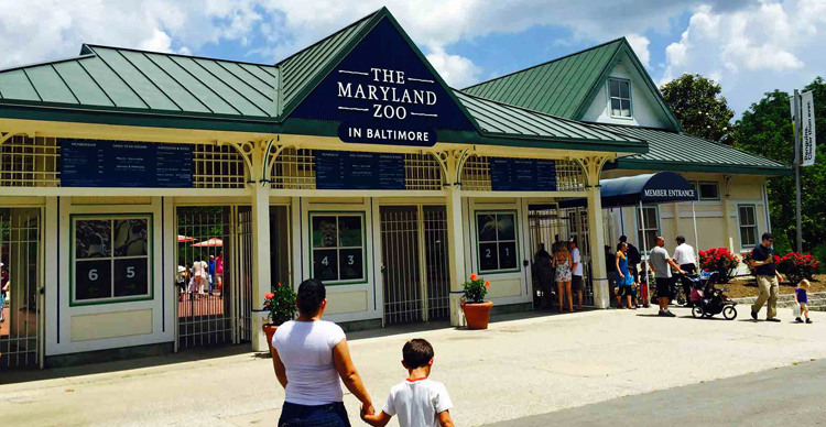 Зоопарк Мэриленда в Балтиморе