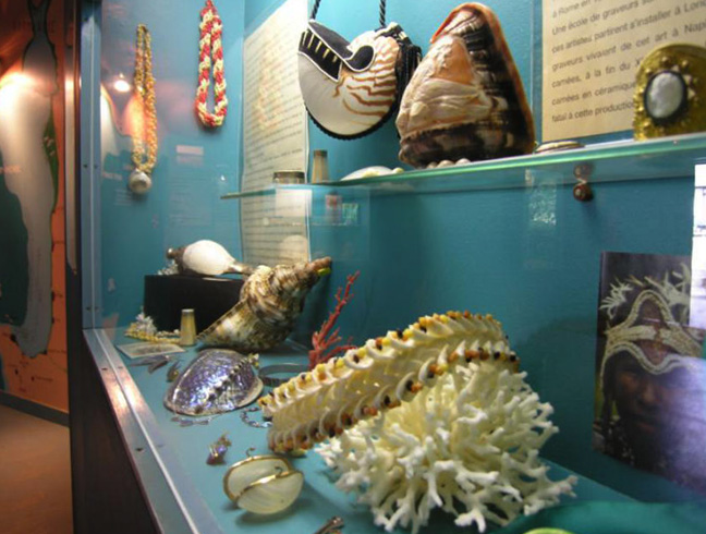 Музей устриц и ракушек