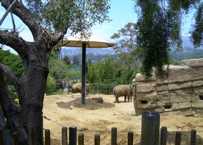 Зоопарк Санта-Барбары