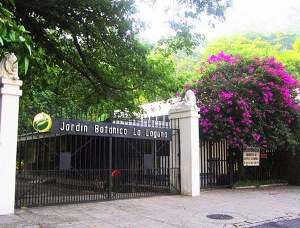 Ботанический сад «Plan De La Laguna»