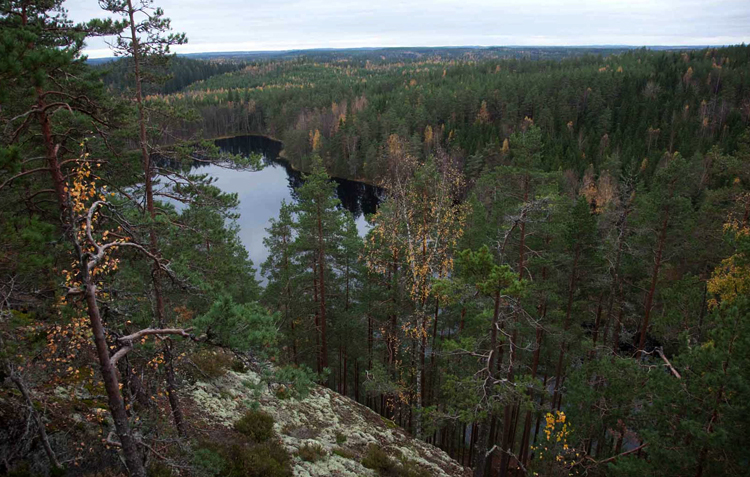 Парк "Реповеси"