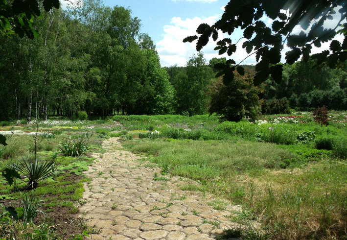 Ботанический сад Академии науки Молдавии