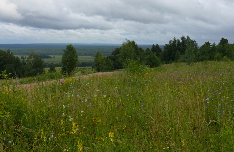 Заказник Каменная гора