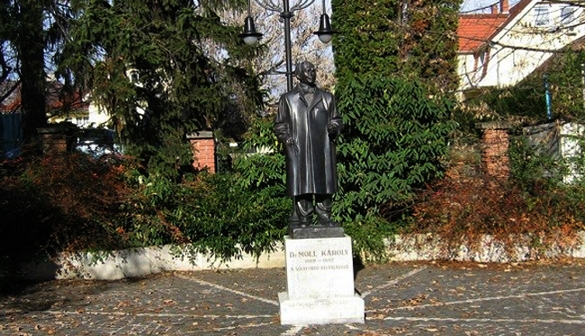 Памятник Каролю Моллу