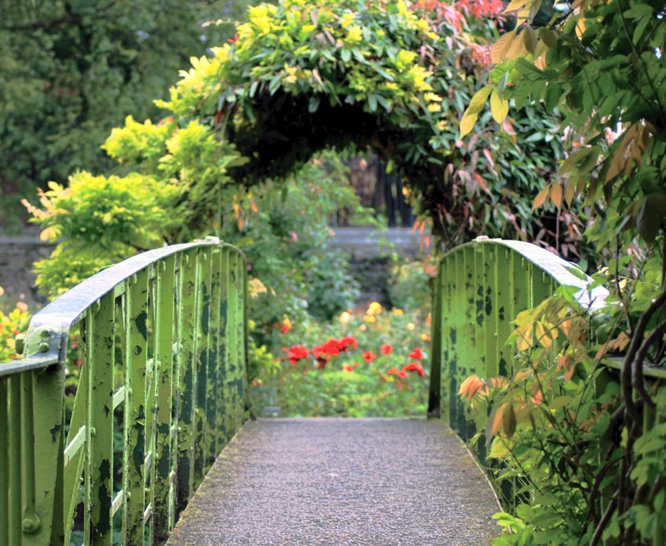 Дублинский Ботанический сад мостик
