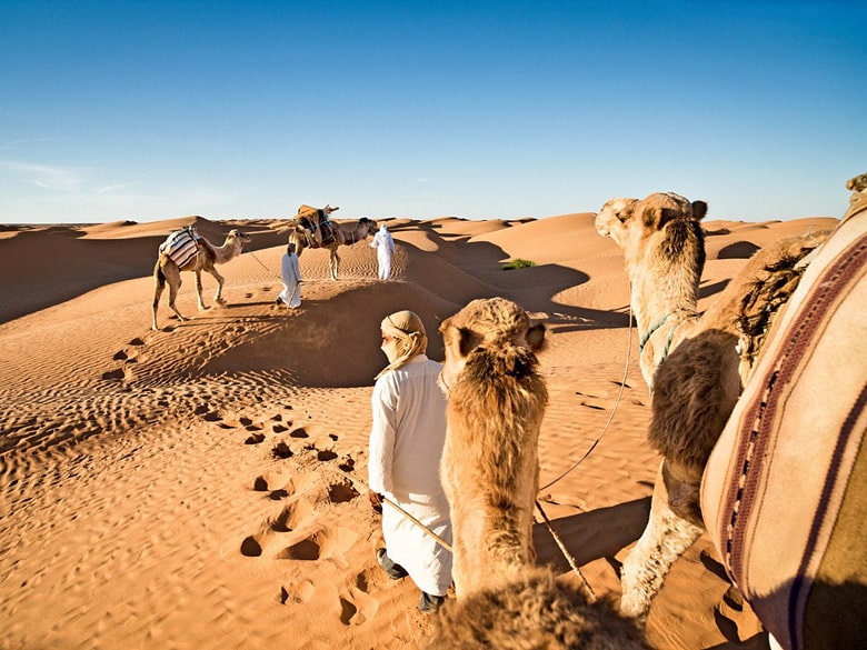 Большой Восточный Эрг пустыни Сахара