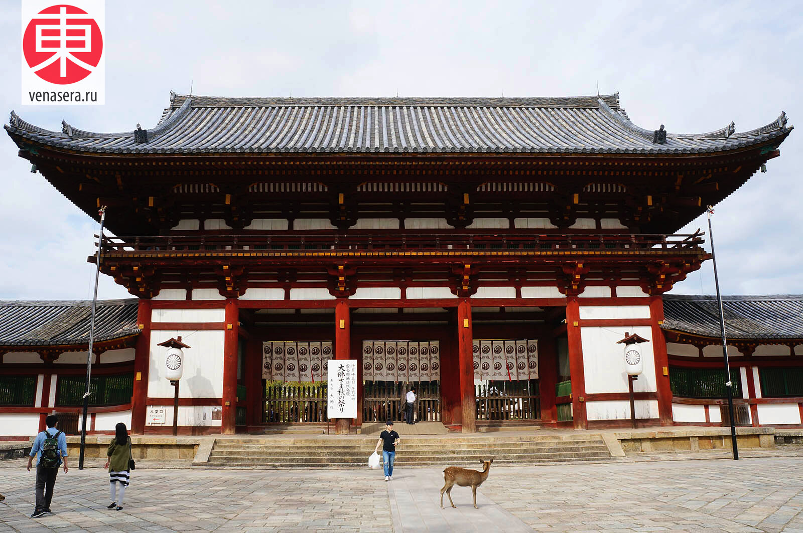 Храм Тодайдзи в Нара, Todaiji, Путешествие в Нара, Поездка в Нара, Олени в г. Нара, Парк Нара, Нара, Nara, 奈良, Япония, Japan, 日本.
