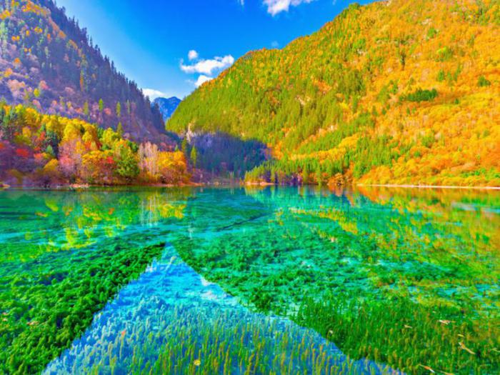 разноцветное озеро