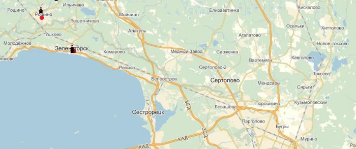 Рощино на карте в Ленинградской области