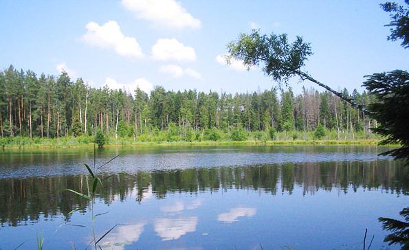 Природа Беларуси