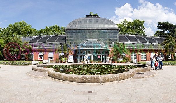 Ботанический сад Пальменгартен