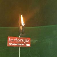 Tartaruga Restaurant & Bar