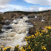 Connemara National Park