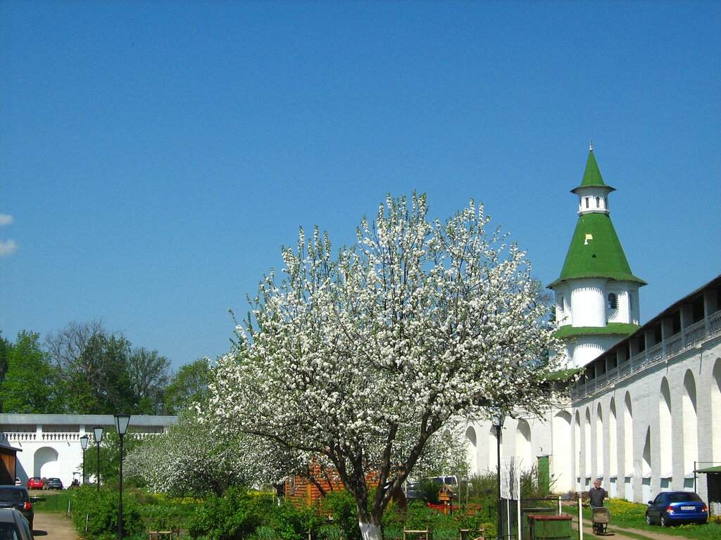 город Истра, Подмосковье, города России