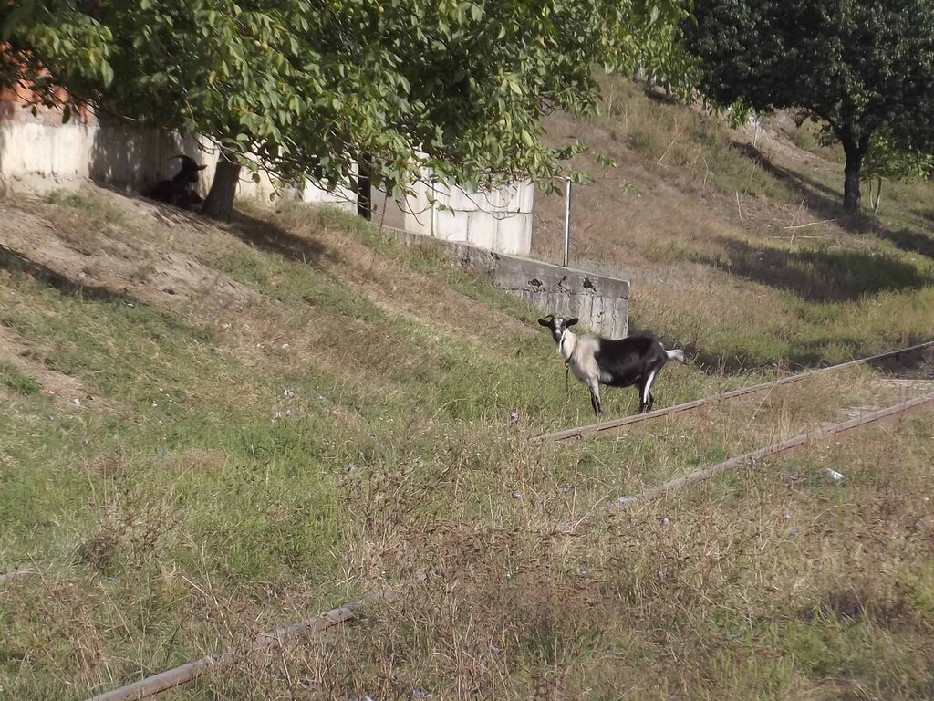 Бендеры, Приднестровье, Молдавия