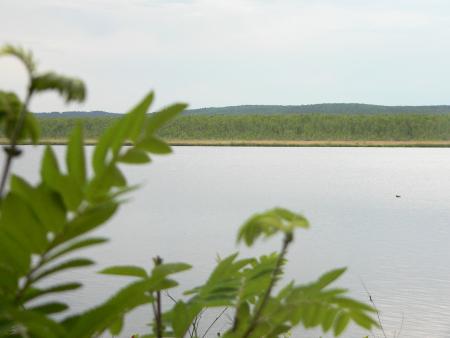 Рис. 11. Верх-Исетский пруд (фото Семеновой Н.А.)