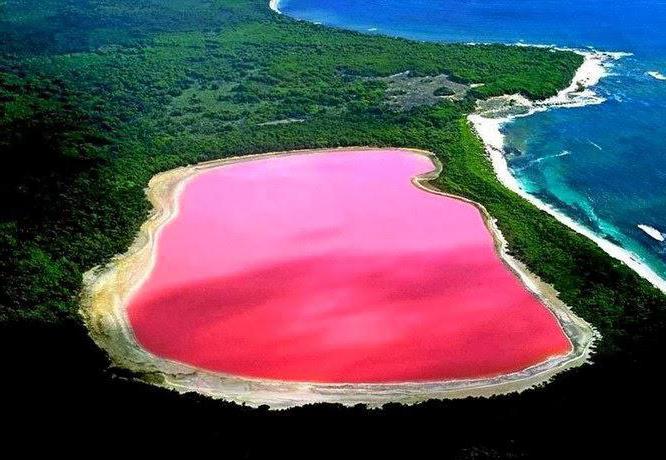  австралия государство достопримечательности розовое озеро 