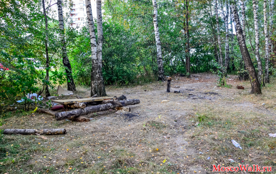 места для шашлыков в Новокосино