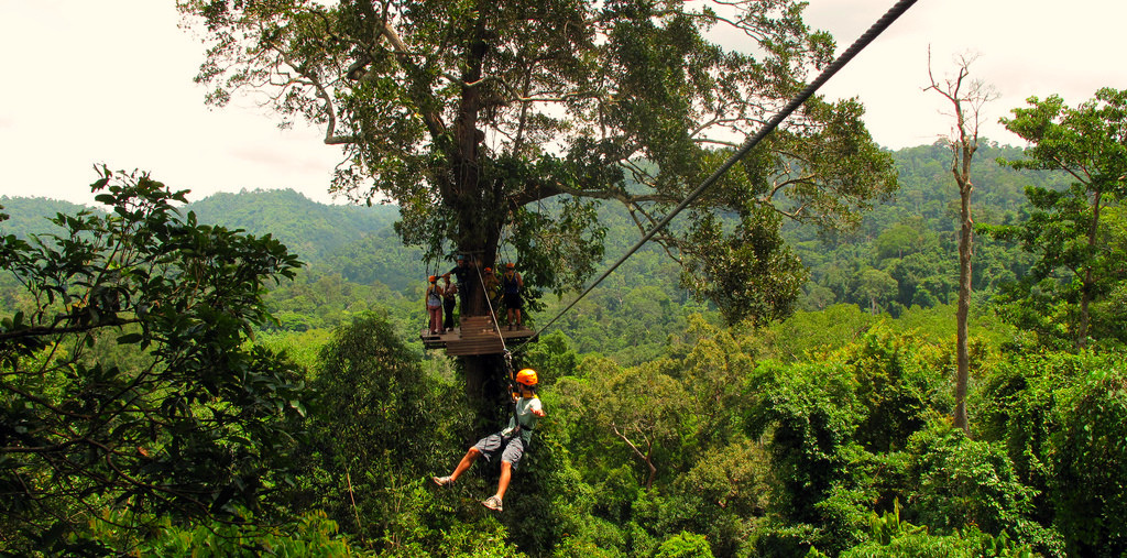 Flight of Gibbon