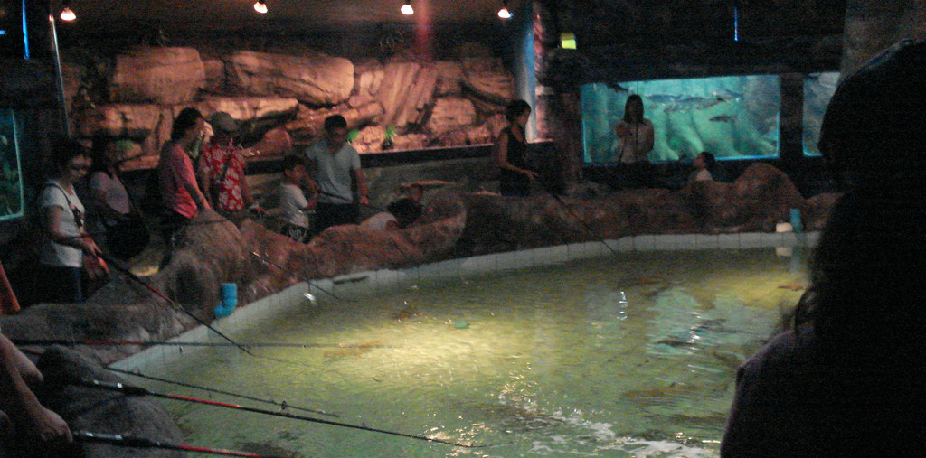 Aquarium in Pattaya