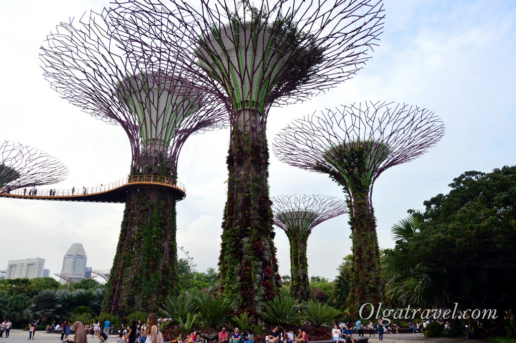 сингапур сады у залива