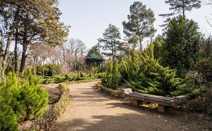 ботанический сад в Тбилиси