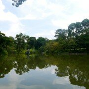 Ботанический сад (Singapore Botanic Gardens)