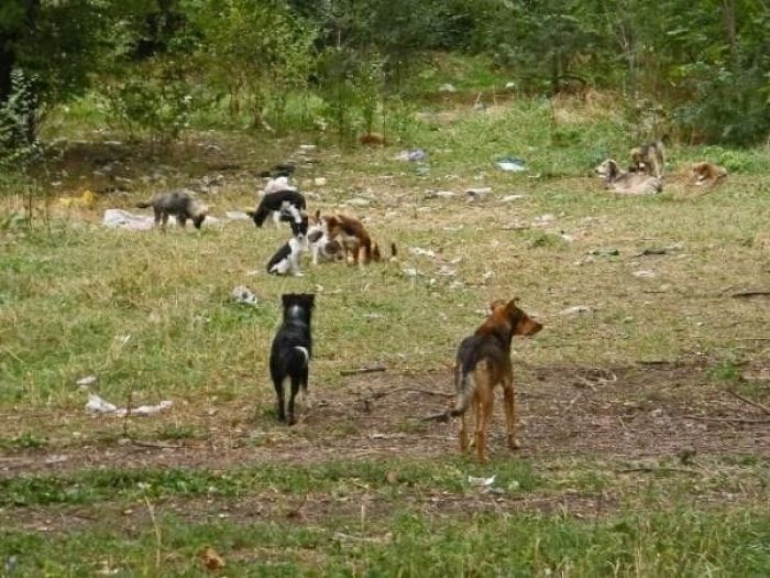 Достопримечательности Мариуполя