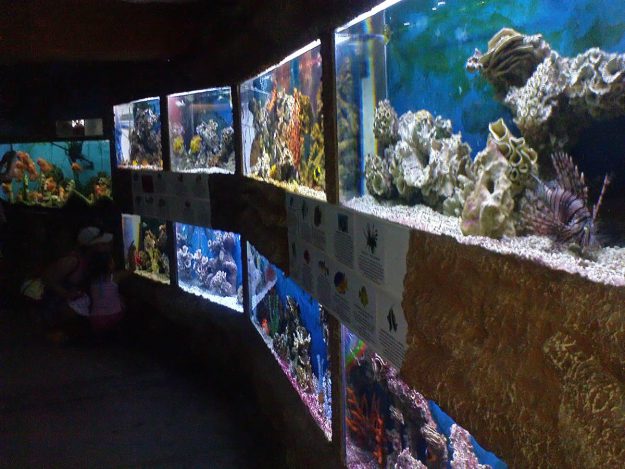 Морской аквариум