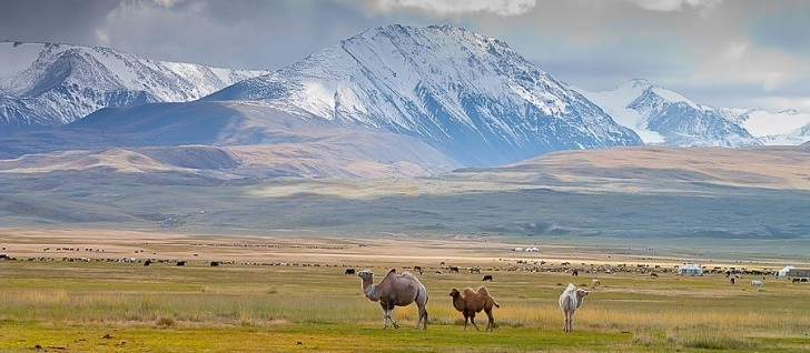 экскурсии Монголии