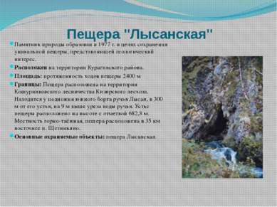 Пещера "Лысанская" Памятник природы образован в 1977 г. в целях сохранения ун...