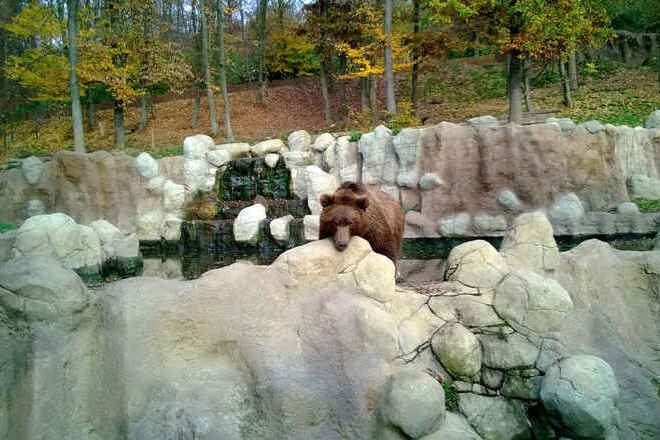 Зоопарк в Брно