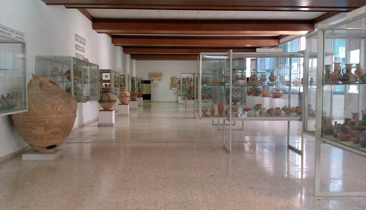 Археологический музей Лимассола 