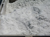добыча соли в Сечовле