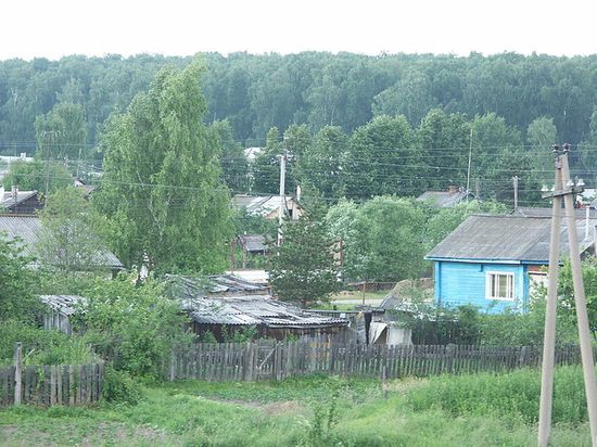 Вид на окраину Петровского, примыкающую к лесу