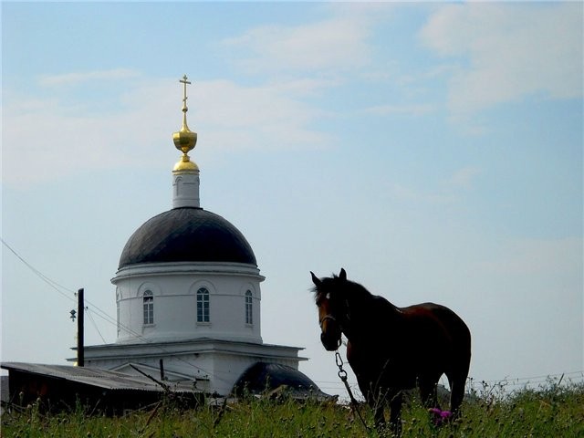 православный Радонеж