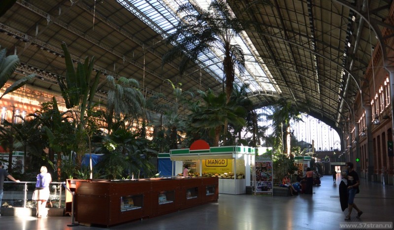 Вокзал Аточа в Мадриде - пальмы