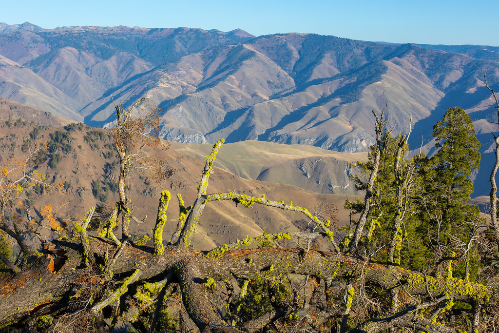 Oregon. Wallowas