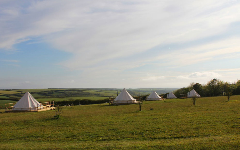 5. Заночевать в Koa Tree Camp в Конуолле.