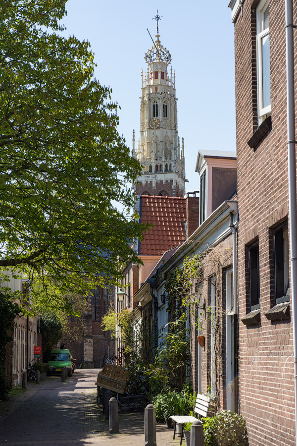 Харлем Haarlem