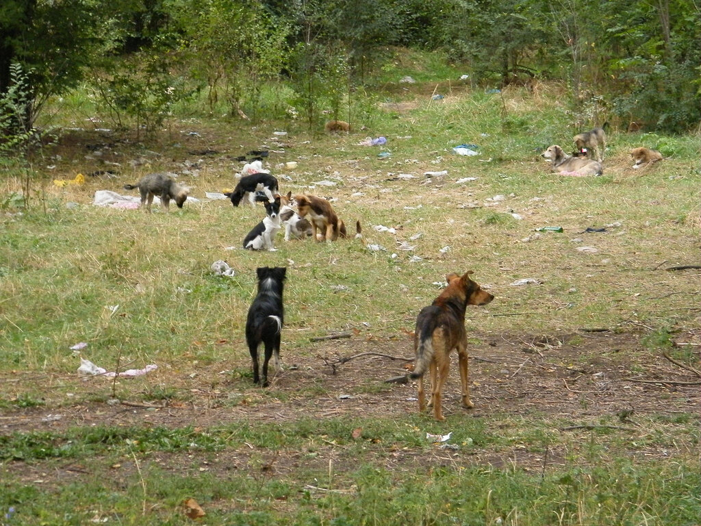 Мариуполь