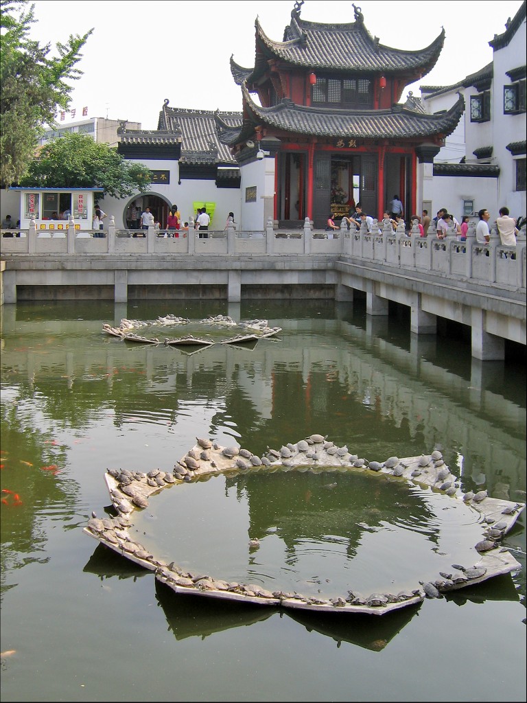 Пруд с золотыми рыбками и черепашками, монастырь Гуйюань