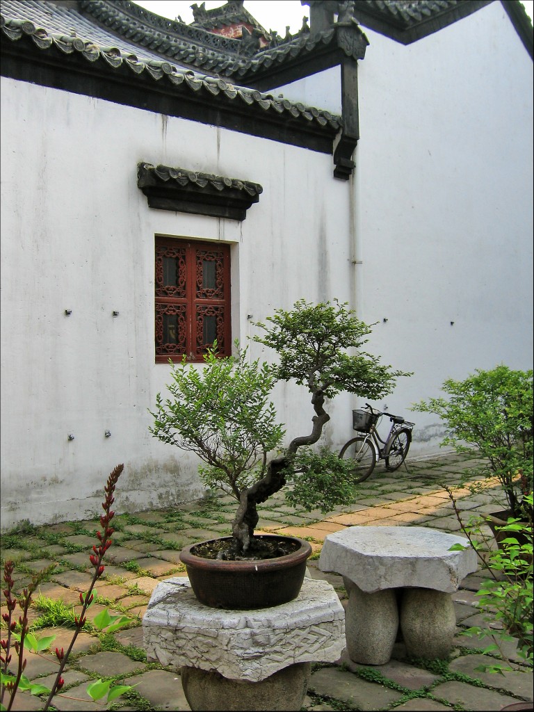 Карликовые деревца, монастырь Гуйюань, Ухань